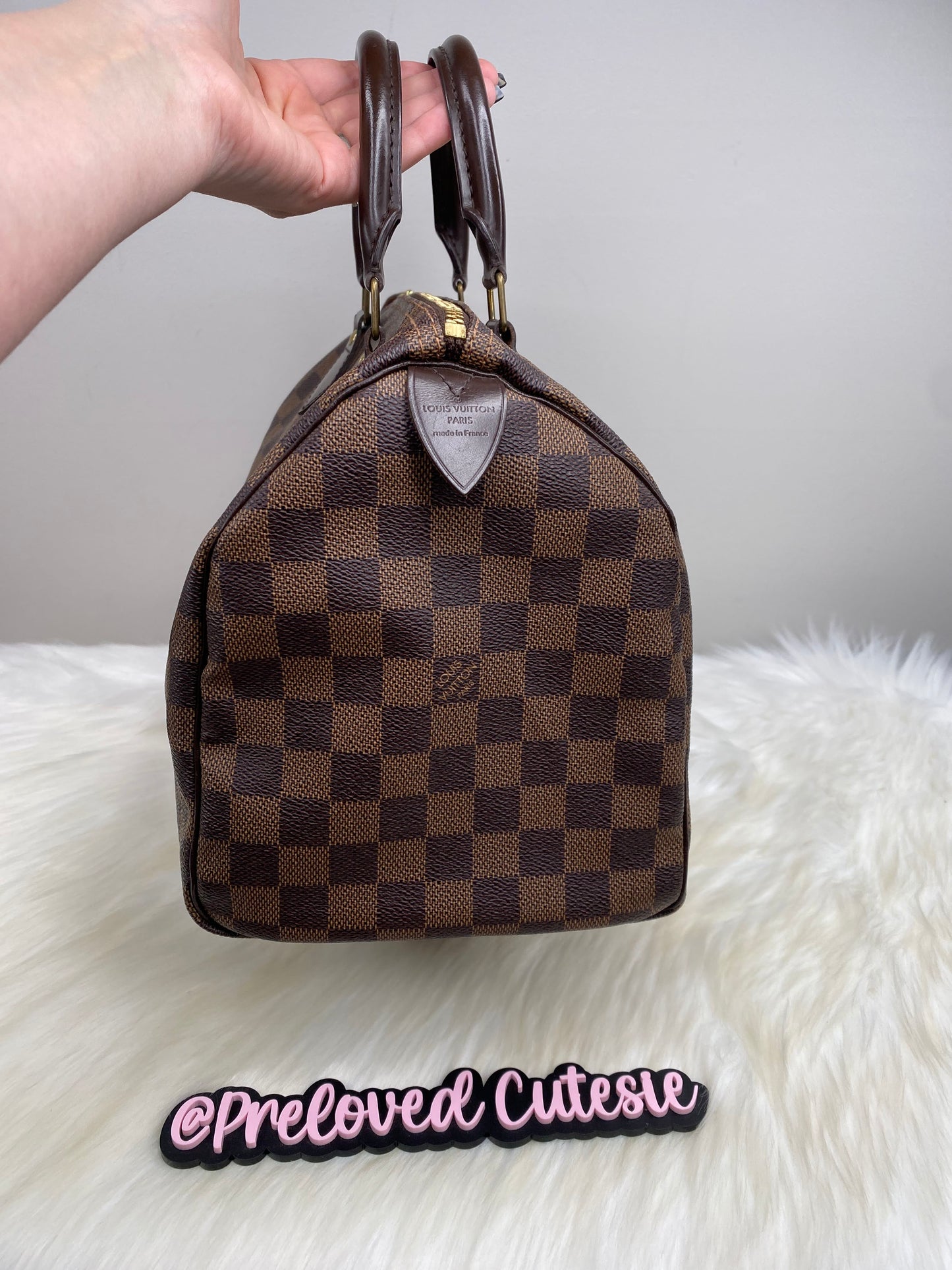 Louis Vuitton Speedy 30 in Damier Ebene / LV Vintage Pre-Loved Handbag