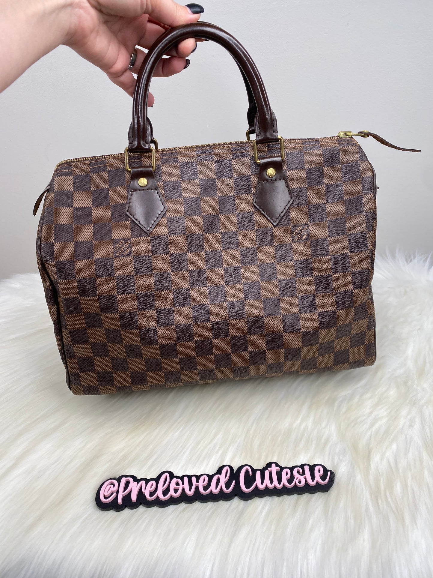 Louis Vuitton Speedy 30 in Damier Ebene / LV Vintage Pre-Loved Handbag