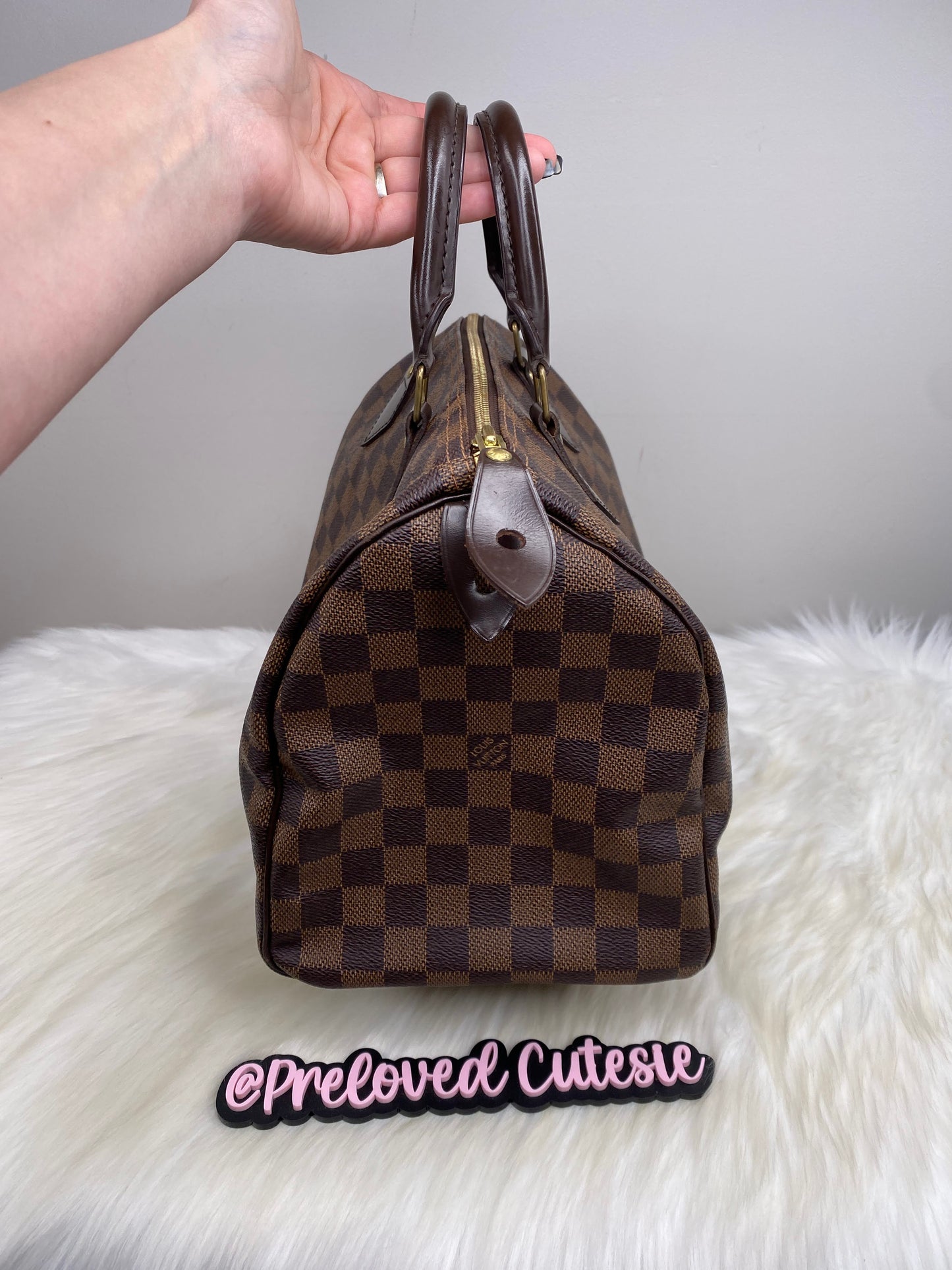 Louis Vuitton Speedy 30 in Damier Ebene / LV Vintage Pre-Loved Handbag
