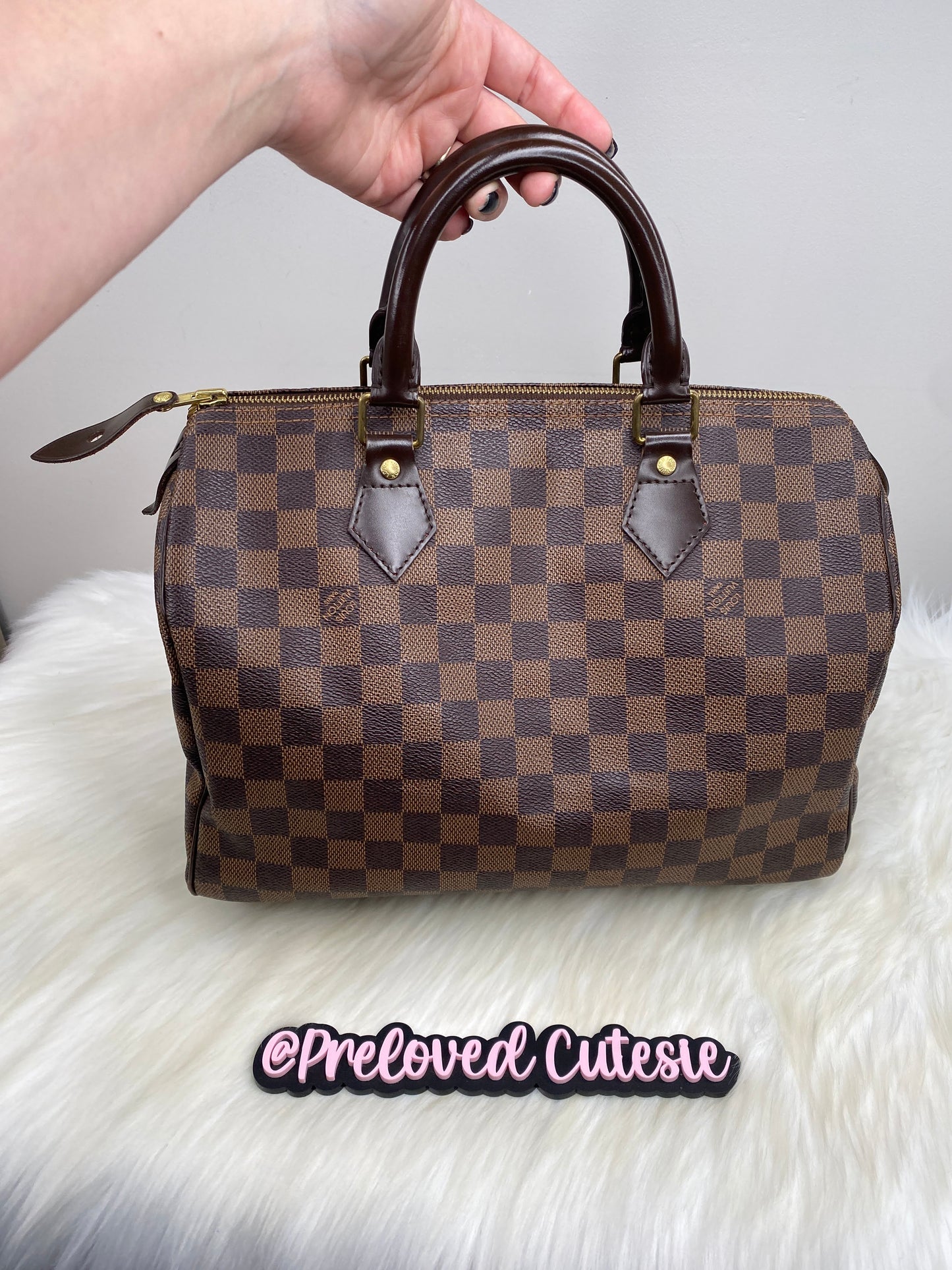 Louis Vuitton Speedy 30 in Damier Ebene / LV Vintage Pre-Loved Handbag