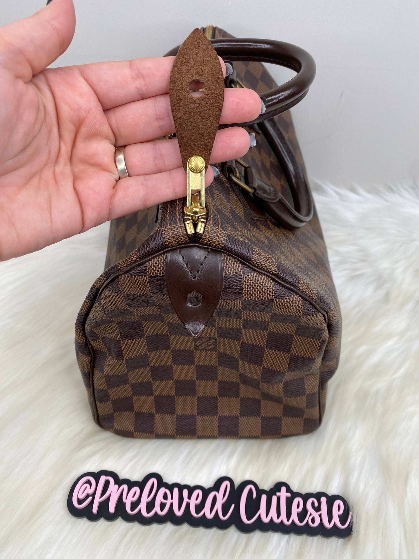 Louis Vuitton Speedy 30 in Damier Ebene / LV Vintage Pre-Loved Handbag
