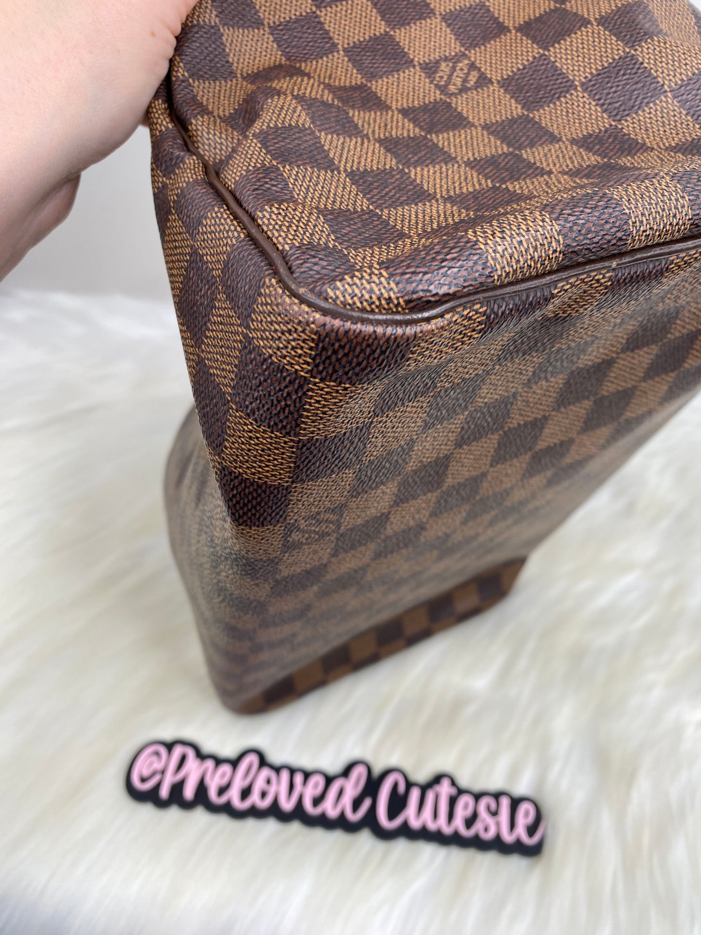 Louis Vuitton Speedy 30 in Damier Ebene / LV Vintage Pre-Loved Handbag
