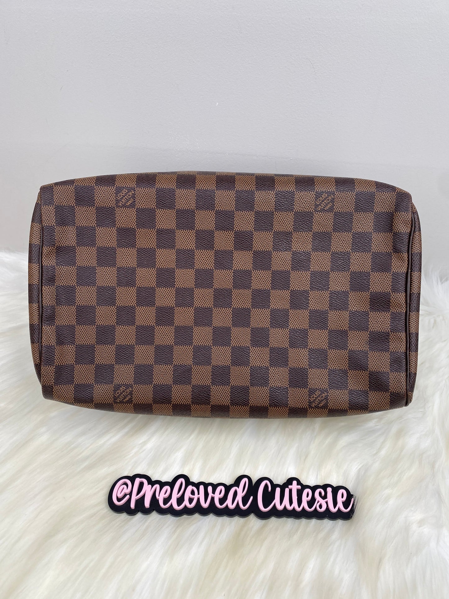 Louis Vuitton Speedy 30 in Damier Ebene / LV Vintage Pre-Loved Handbag
