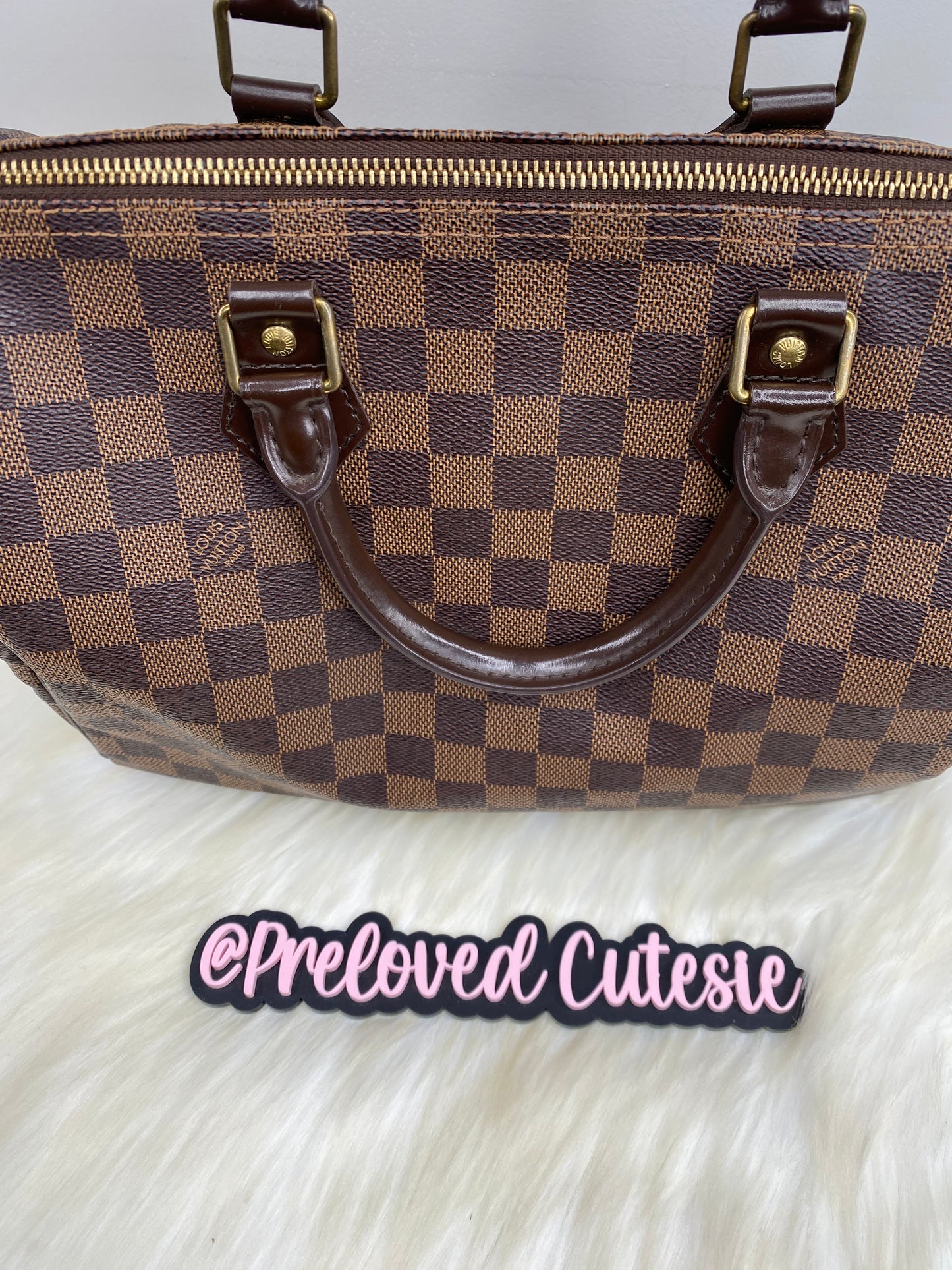 Louis Vuitton Speedy 30 in Damier Ebene / LV Vintage Pre-Loved Handbag