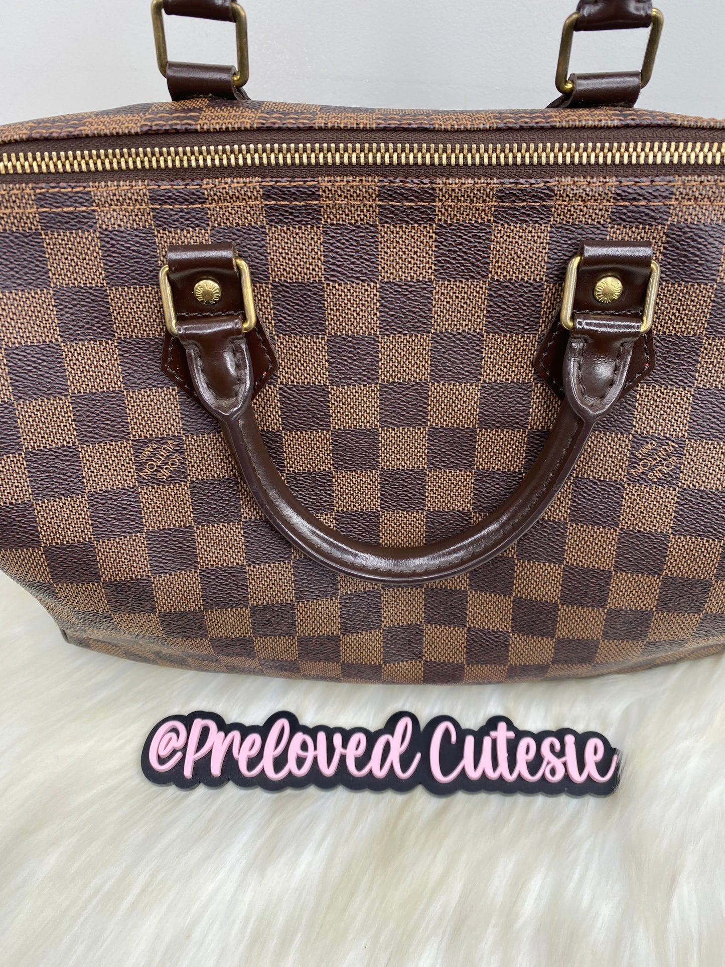 Louis Vuitton Speedy 30 in Damier Ebene / LV Vintage Pre-Loved Handbag
