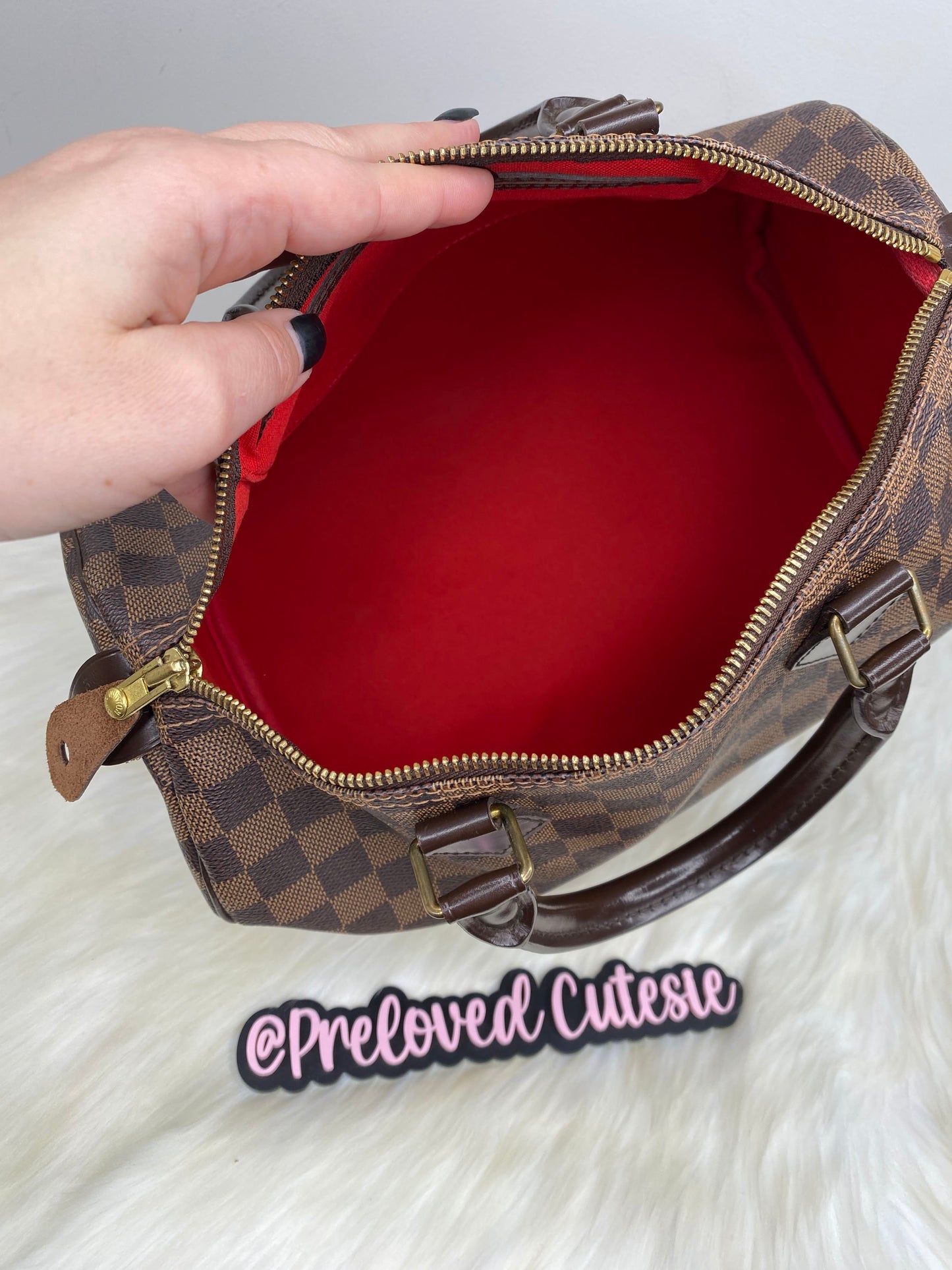 Louis Vuitton Speedy 30 in Damier Ebene / LV Vintage Pre-Loved Handbag