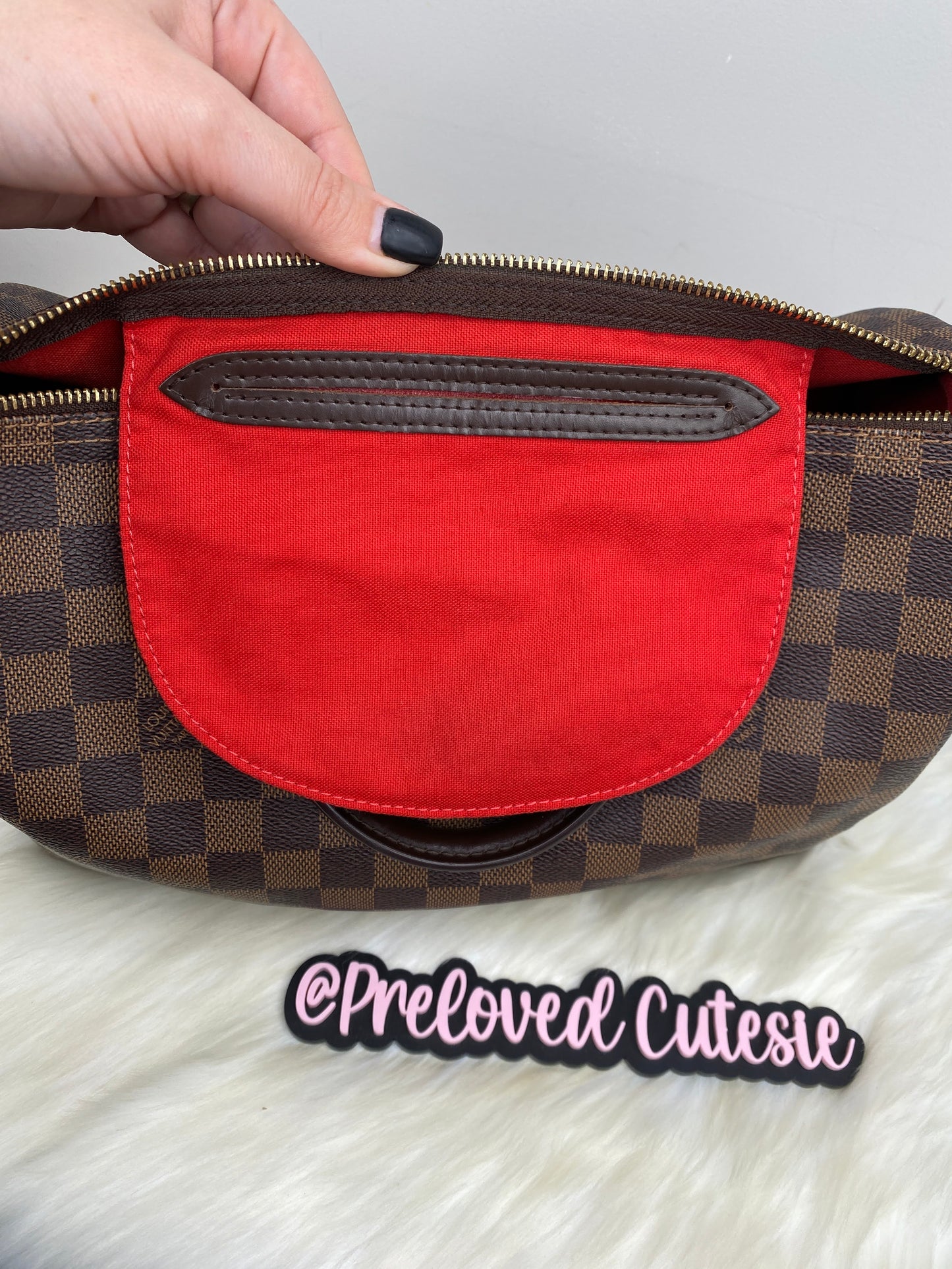 Louis Vuitton Speedy 30 in Damier Ebene / LV Vintage Pre-Loved Handbag