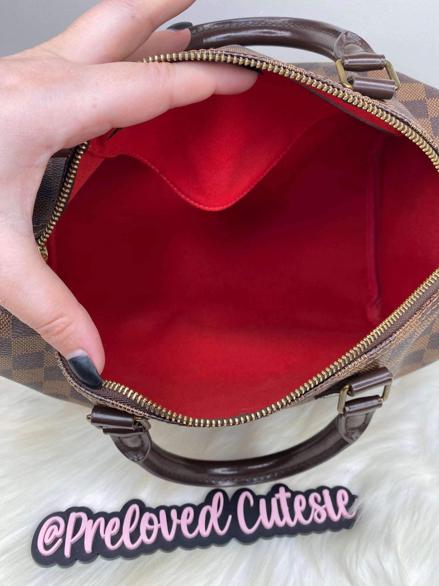 Louis Vuitton Speedy 30 in Damier Ebene / LV Vintage Pre-Loved Handbag