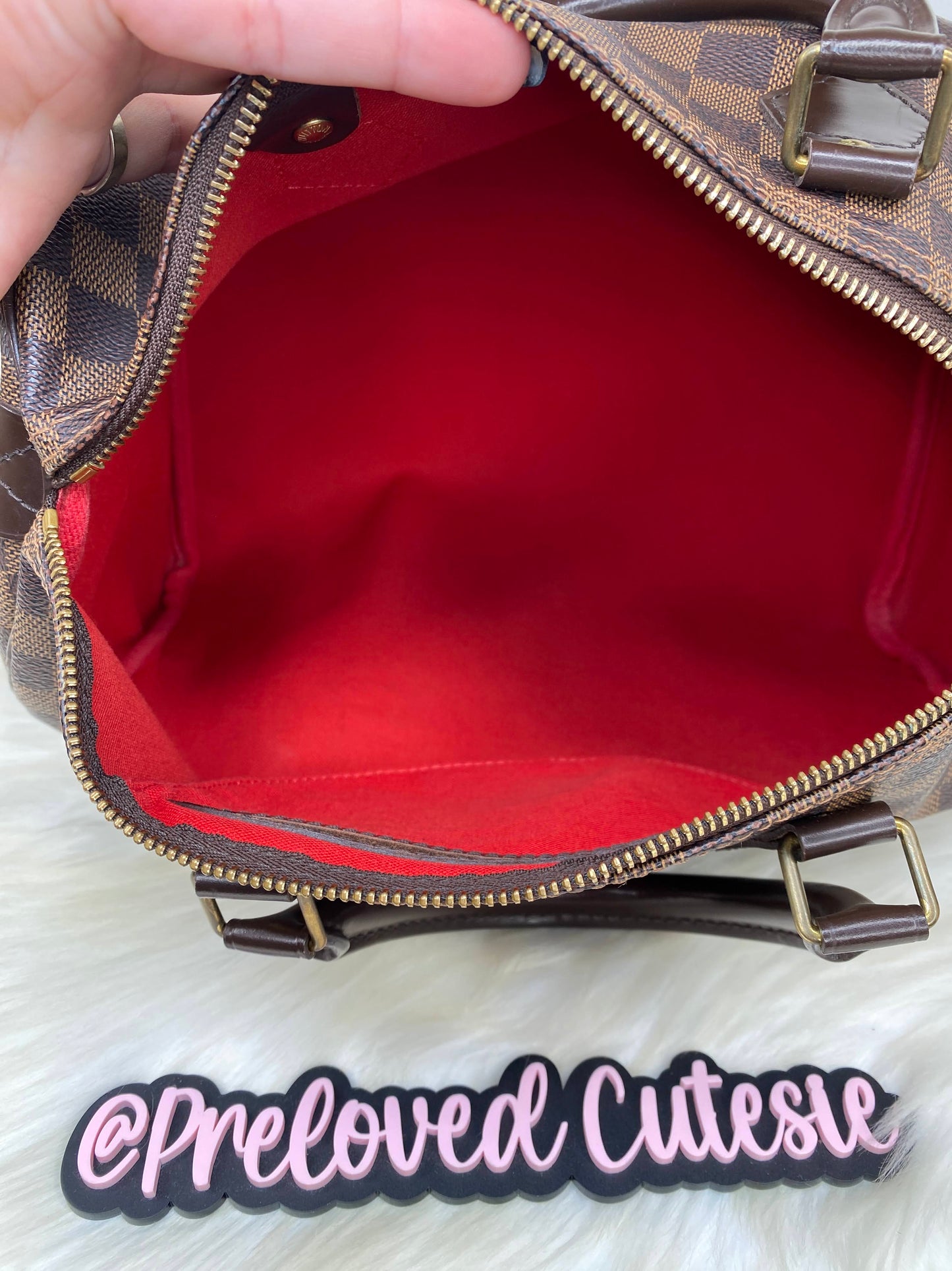 Louis Vuitton Speedy 30 in Damier Ebene / LV Vintage Pre-Loved Handbag